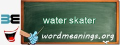 WordMeaning blackboard for water skater
